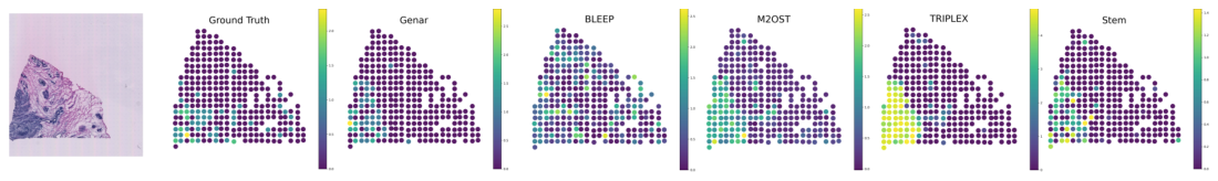 Figure 10