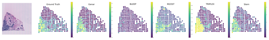 Figure 11