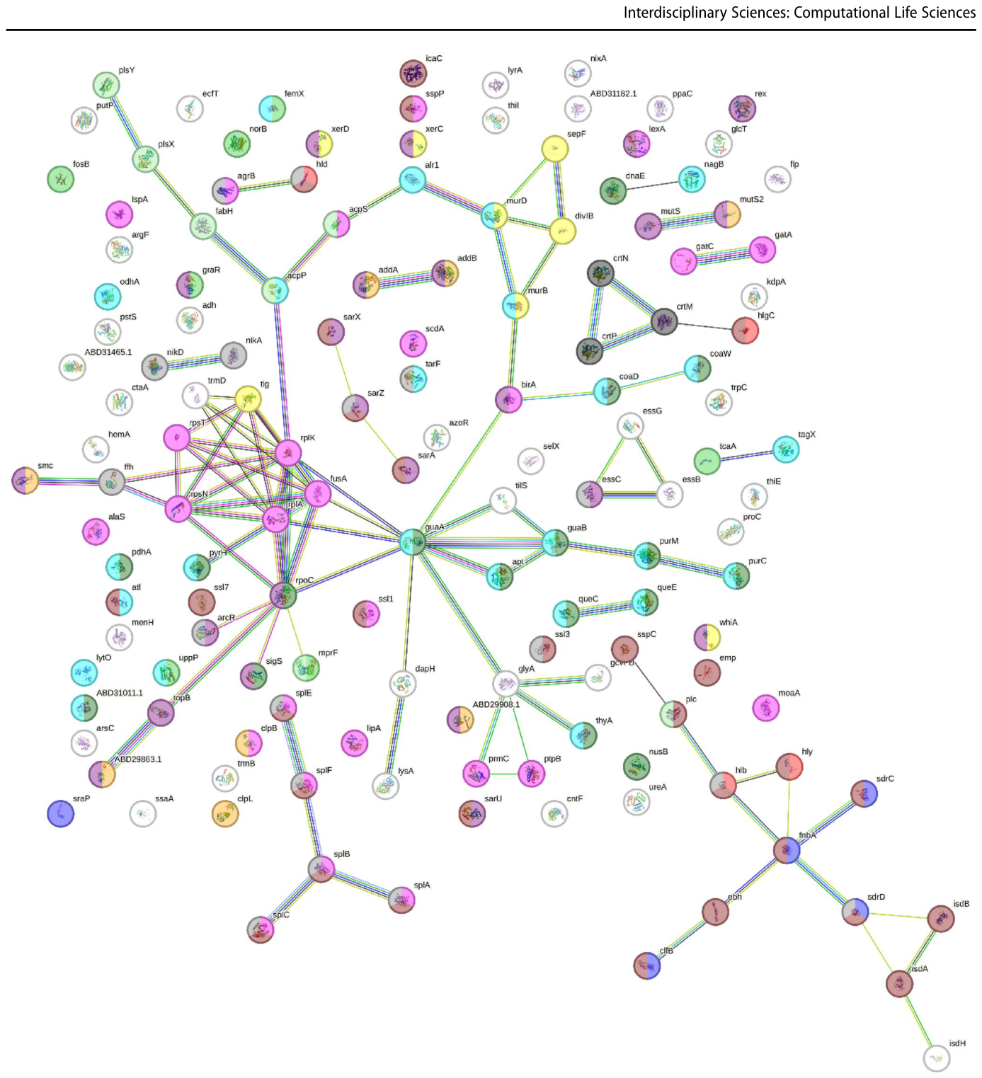 Figure 6