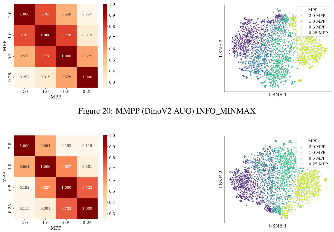 Figure 21
